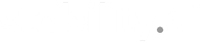Logo Stability.ai NoCode